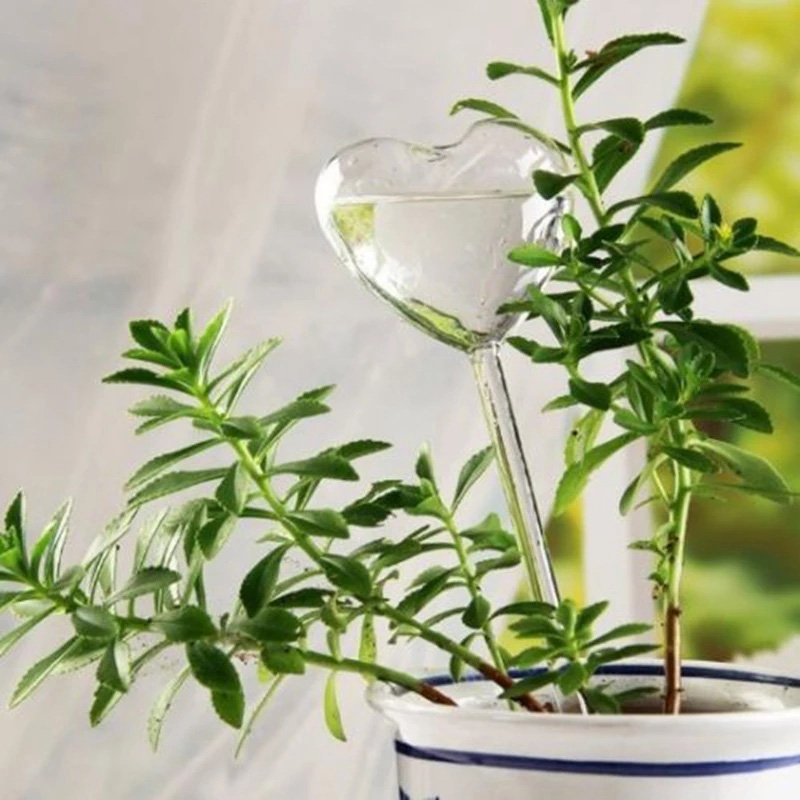 Gardening Tools Equipment - Nhà/Nước Sân Vườn Houseplant Vật Có