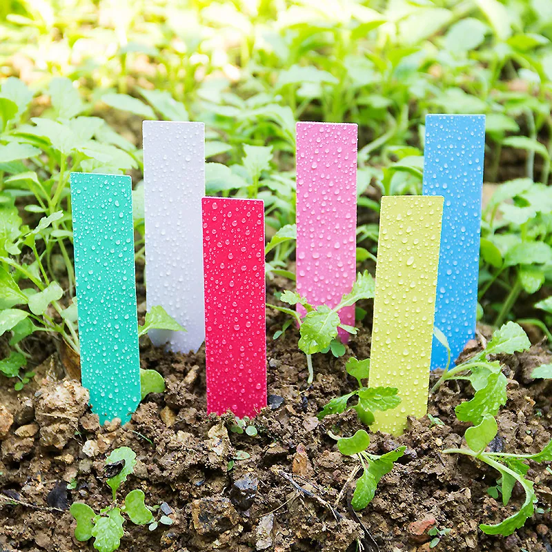 Plant Label Tags - 100 Chiếc Dày 4Inch Vật Có