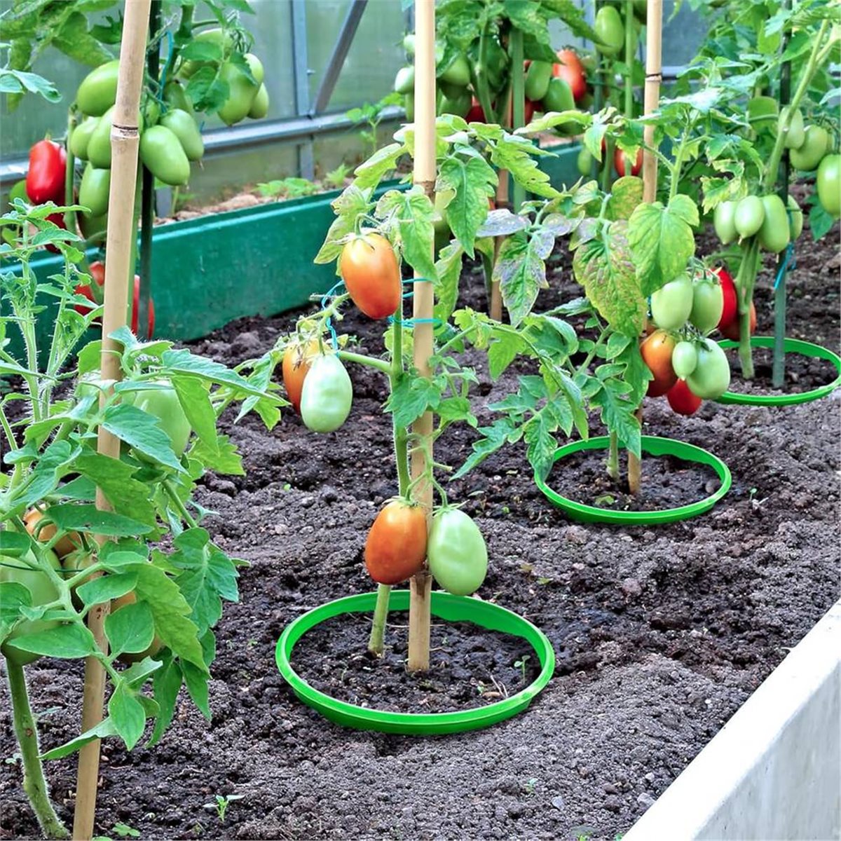 【COUNTDOWN DEAL】 4 Plant Guard - đánh giá và giá Gardening Tools Deals