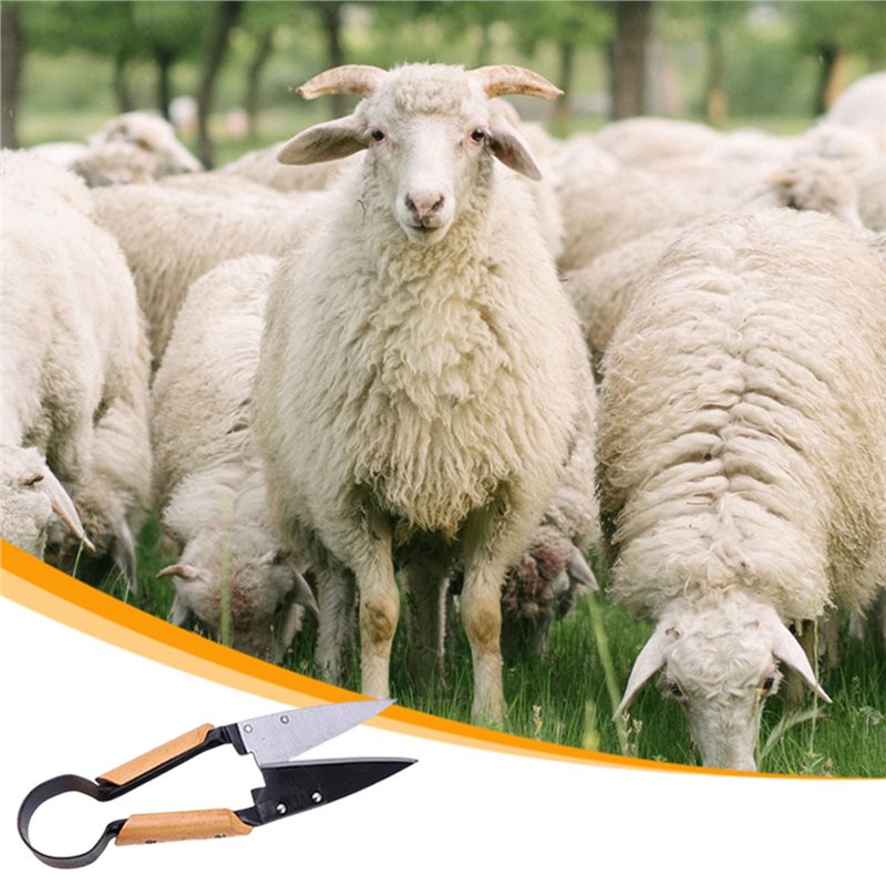 【FLASH DEAL】Heavy Duty 13Inch  - đánh giá và giá Gardening Tools Deals