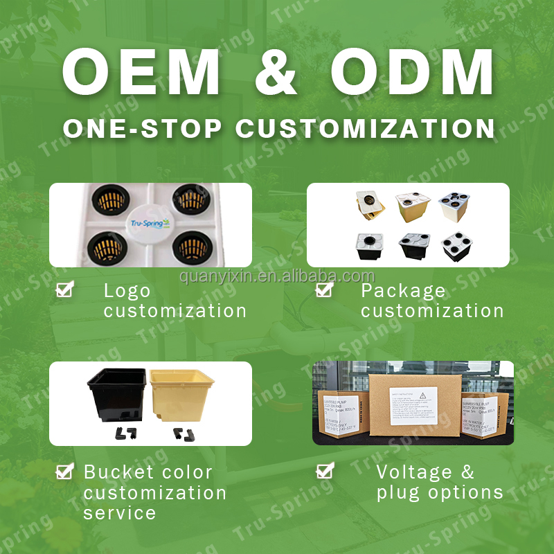 Dutch Bucket Hydroponic System - đánh giá và giá Drip Irrigation Kit