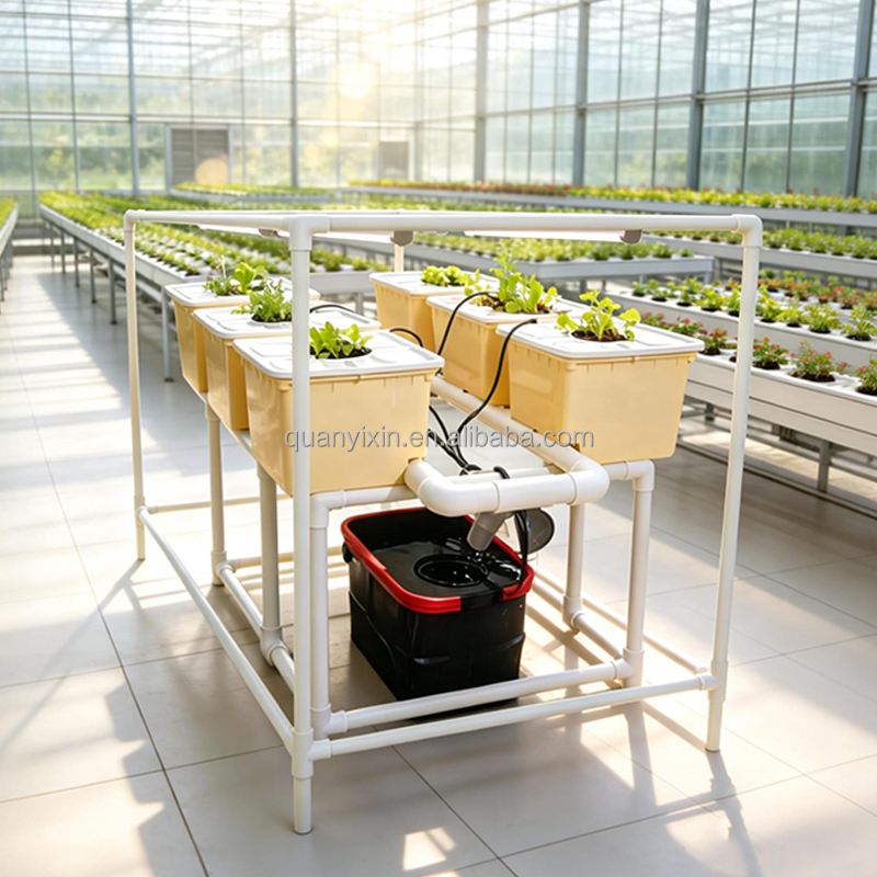Dutch Bucket Hydroponic System - đánh giá và giá Drip Irrigation Kit