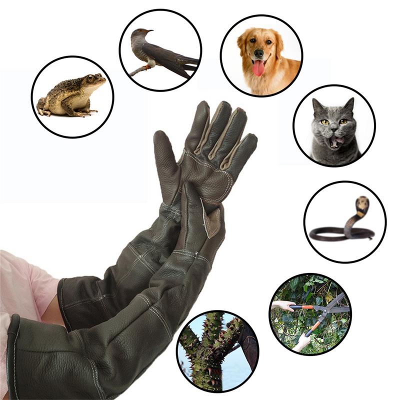 Pet Gloves Cowhide Leather Ant - đánh giá và giá Gardening Tools Gloves