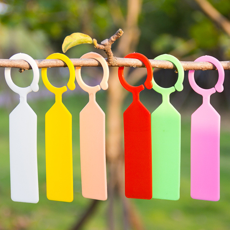 Bộ 50 Chống Nước Vật Có Nhãn N - đánh giá và giá Plant Label Tags