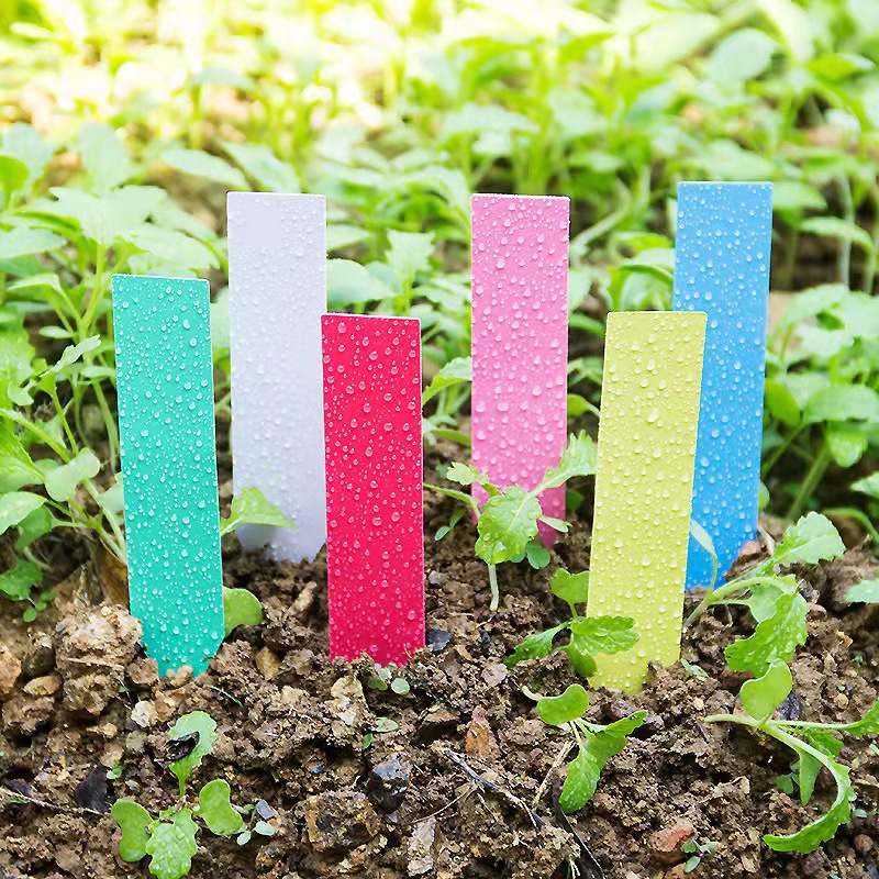 100 Chiếc Vườn Vật Có Nhãn Nhự - đánh giá và giá Plant Label Tags