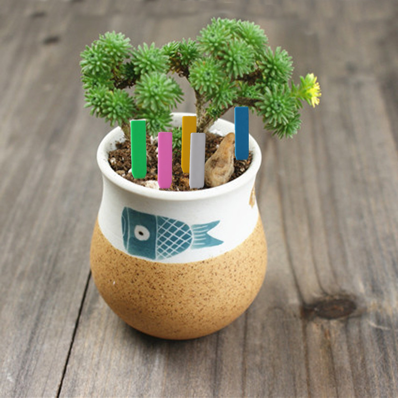 100 Chiếc Vườn Vật Có Nhãn Nhự - đánh giá và giá Plant Label Tags