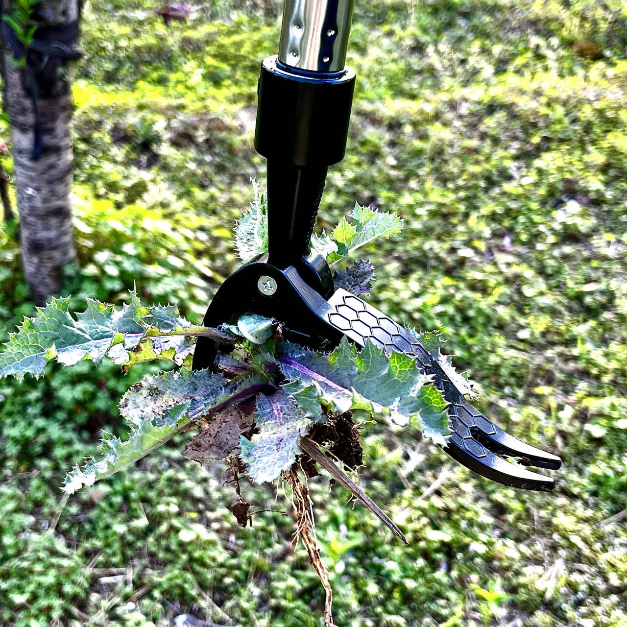 Save Labour Hand Metal Weed Ex - đánh giá và giá Gardening Tools Needed