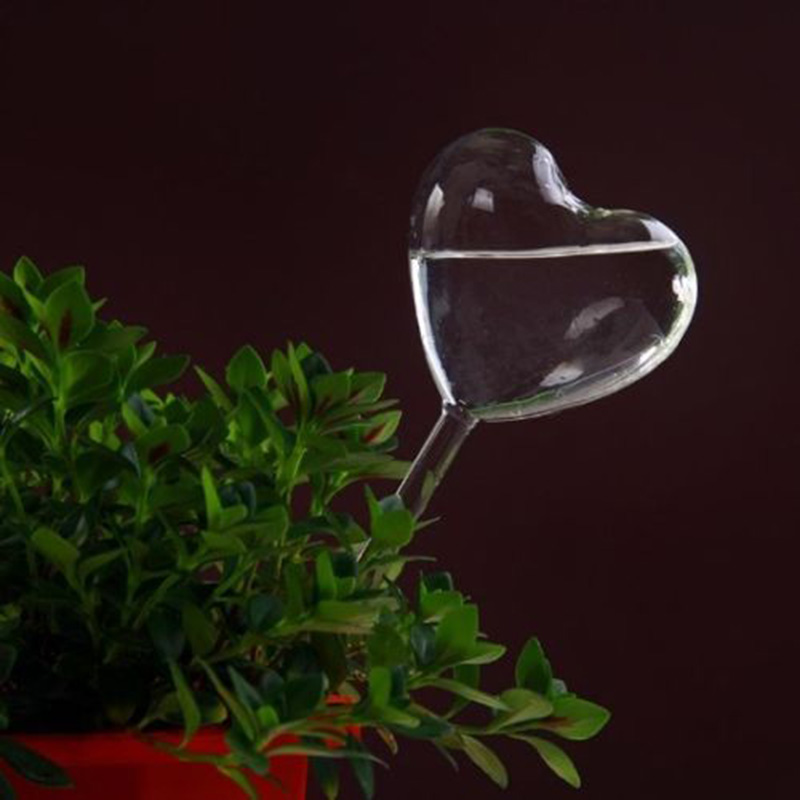 Nhà/Nước Sân Vườn Houseplant V - đánh giá và giá Gardening Tools Equipment