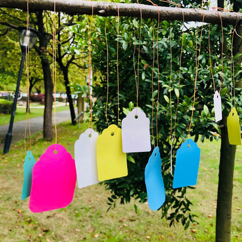100pcs Plant Labels With Rope  - đánh giá và giá Plant Label Tags