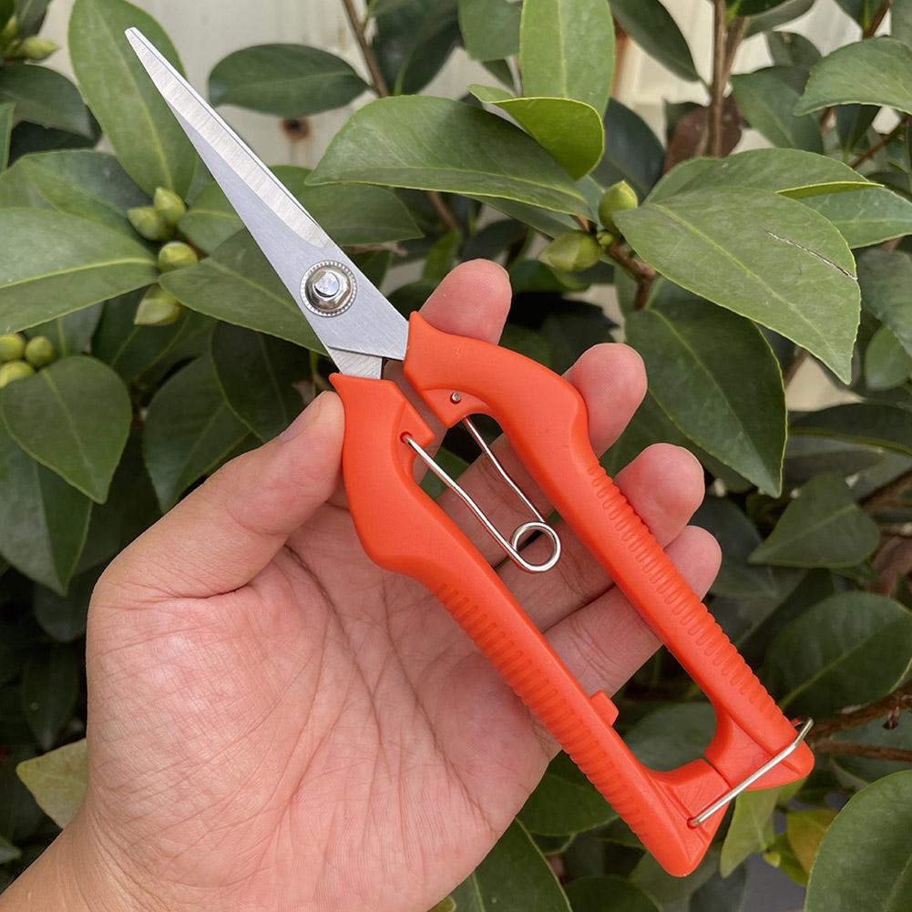 Pro Garden Pruning Shears Leng - đánh giá và giá Gardening Tools Basic