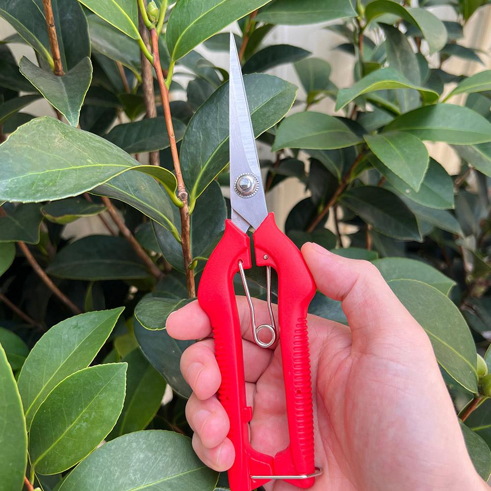 Pro Garden Pruning Shears Leng - đánh giá và giá Gardening Tools Basic