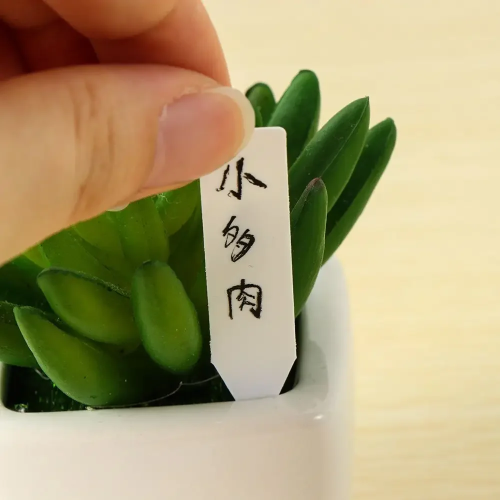 100Pcs Reusable Classification - đánh giá và giá Plant Label Tags